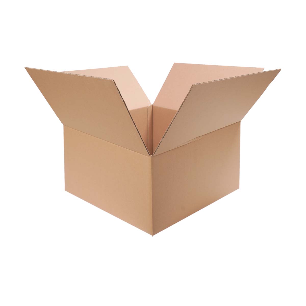 Cajas de cartón | 25 pz